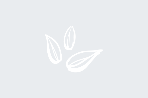 Sulphur based autumn fertiliser options