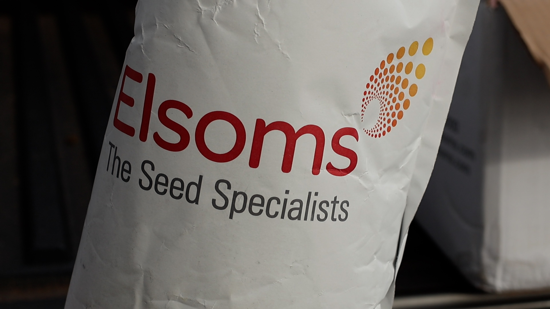 Blackstone: A versatile winter wheat variety for 2024 