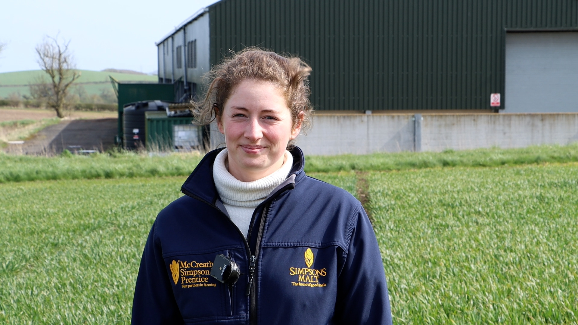 Winter Wheat Trials: Seed dressing a blessing in disguise?