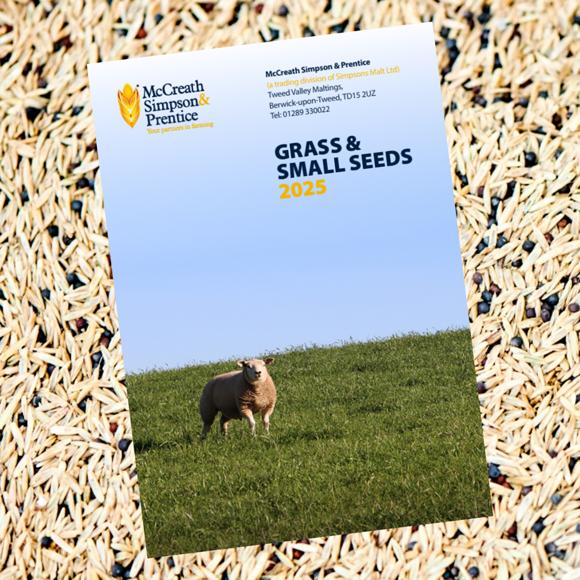 Grass Seed Brochure 2024 2 (1)