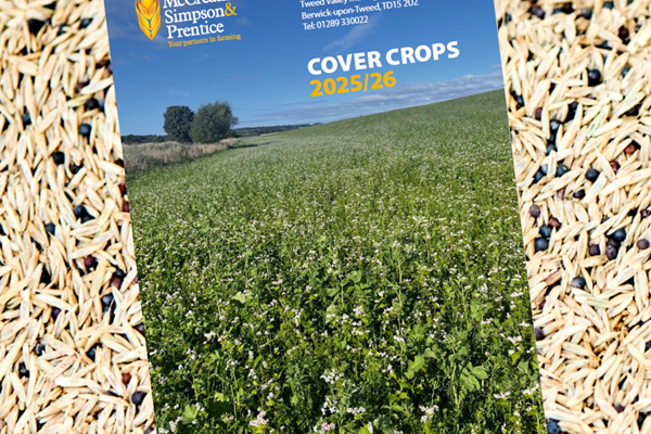 Introducing our new cover crop brochure!
