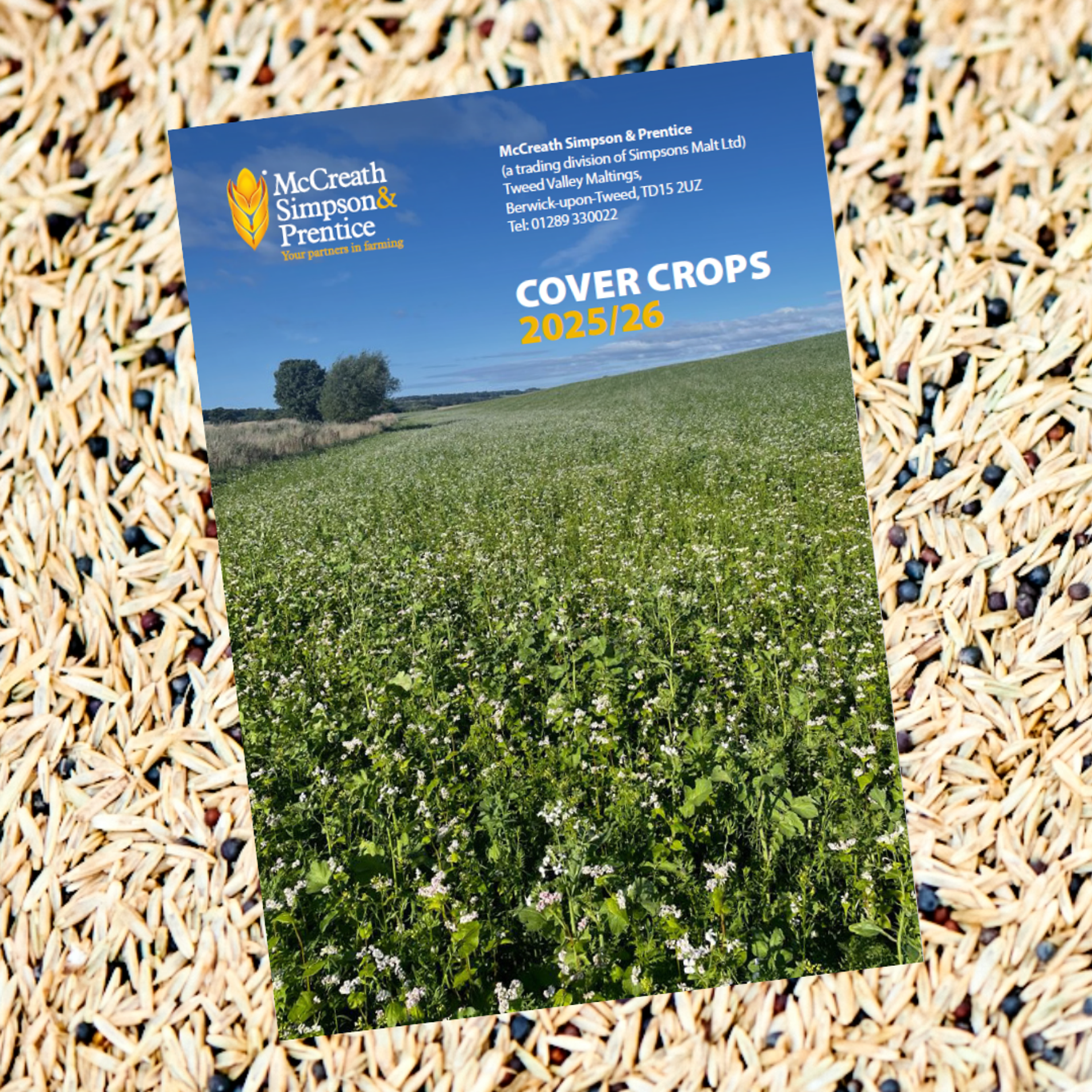 Cover Crop Brochure 2025 1
