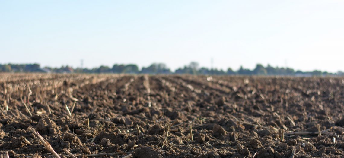 Soil health: Five ways to improve your soil conditions