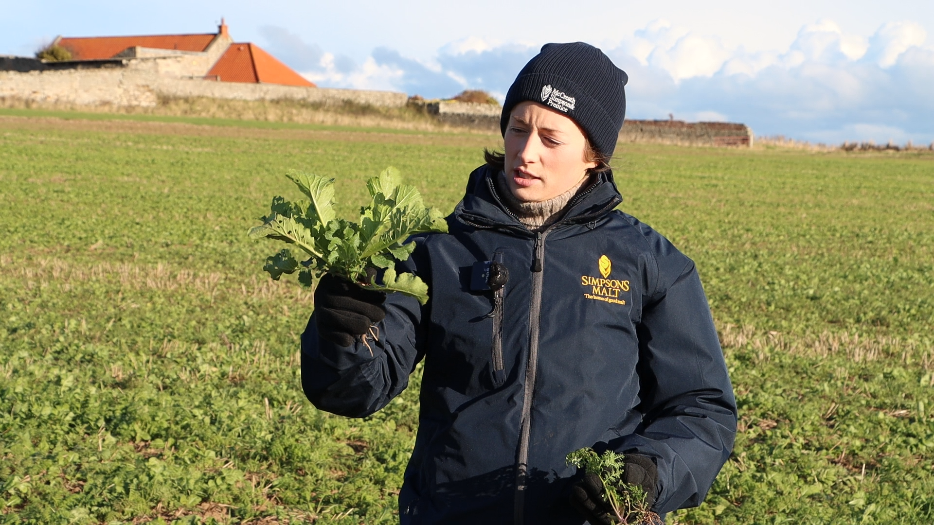 Cover crops: Three biggest things we've learned