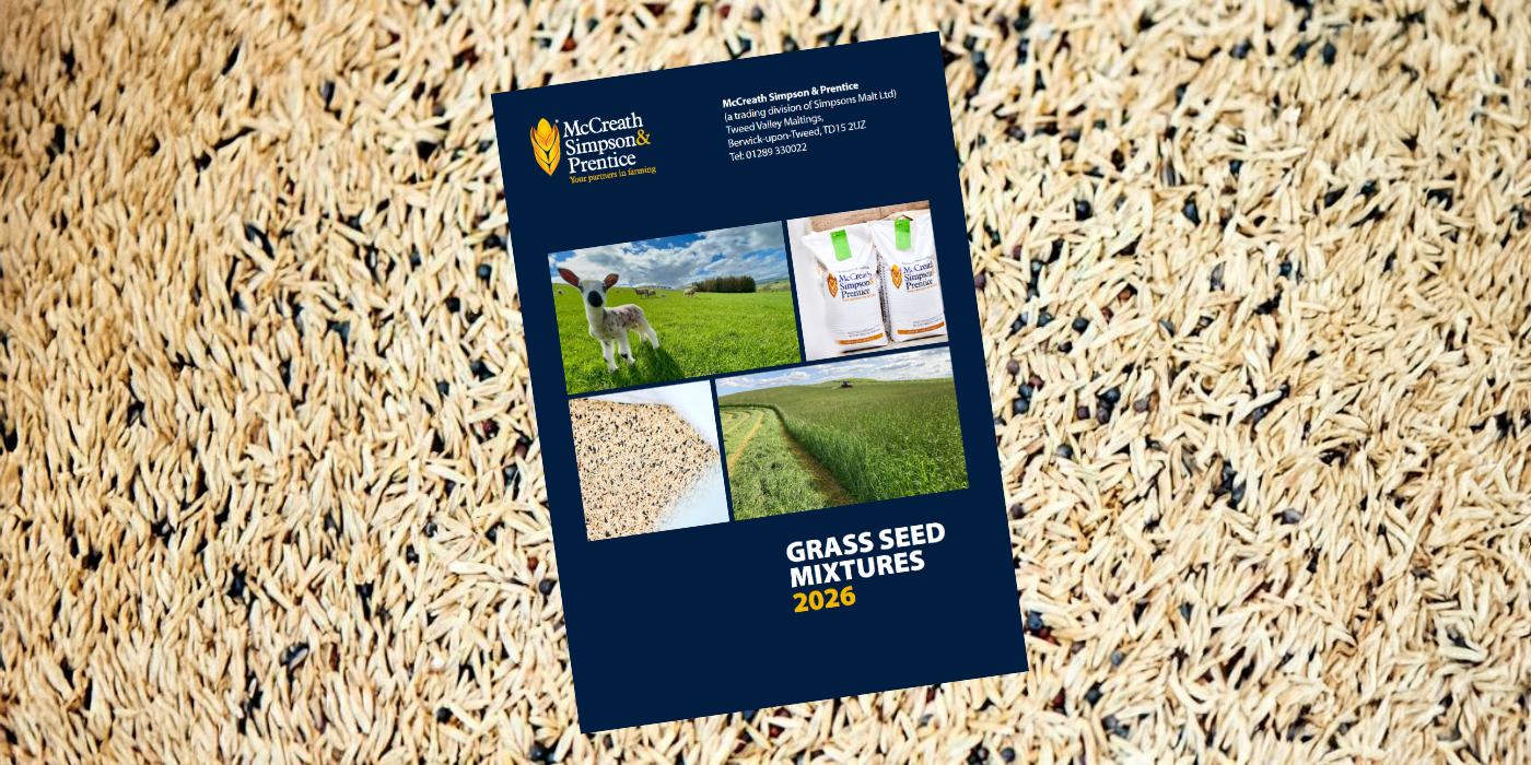 Grass seed mixtures for 2026: Explore our new brochure