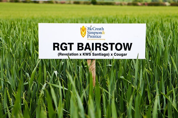 RGT BAIRSTOW