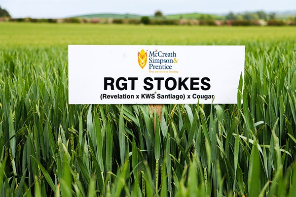 RGT STOKES