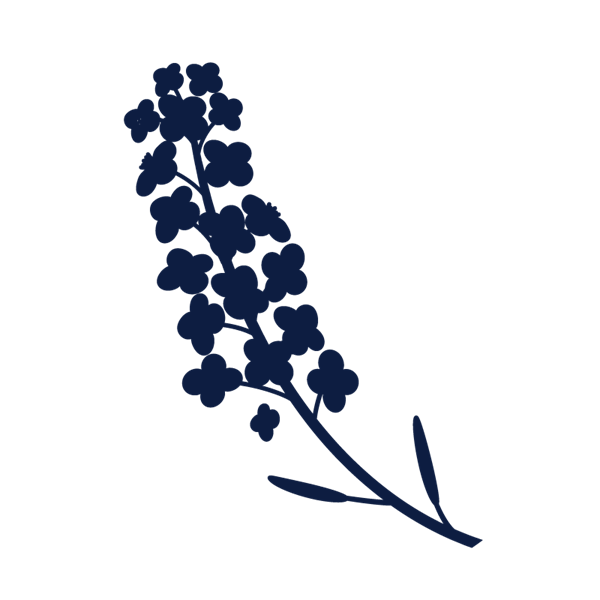 ACACIA