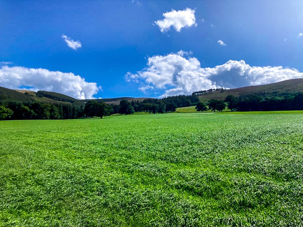 Hard Working Hectares Mkiv 2