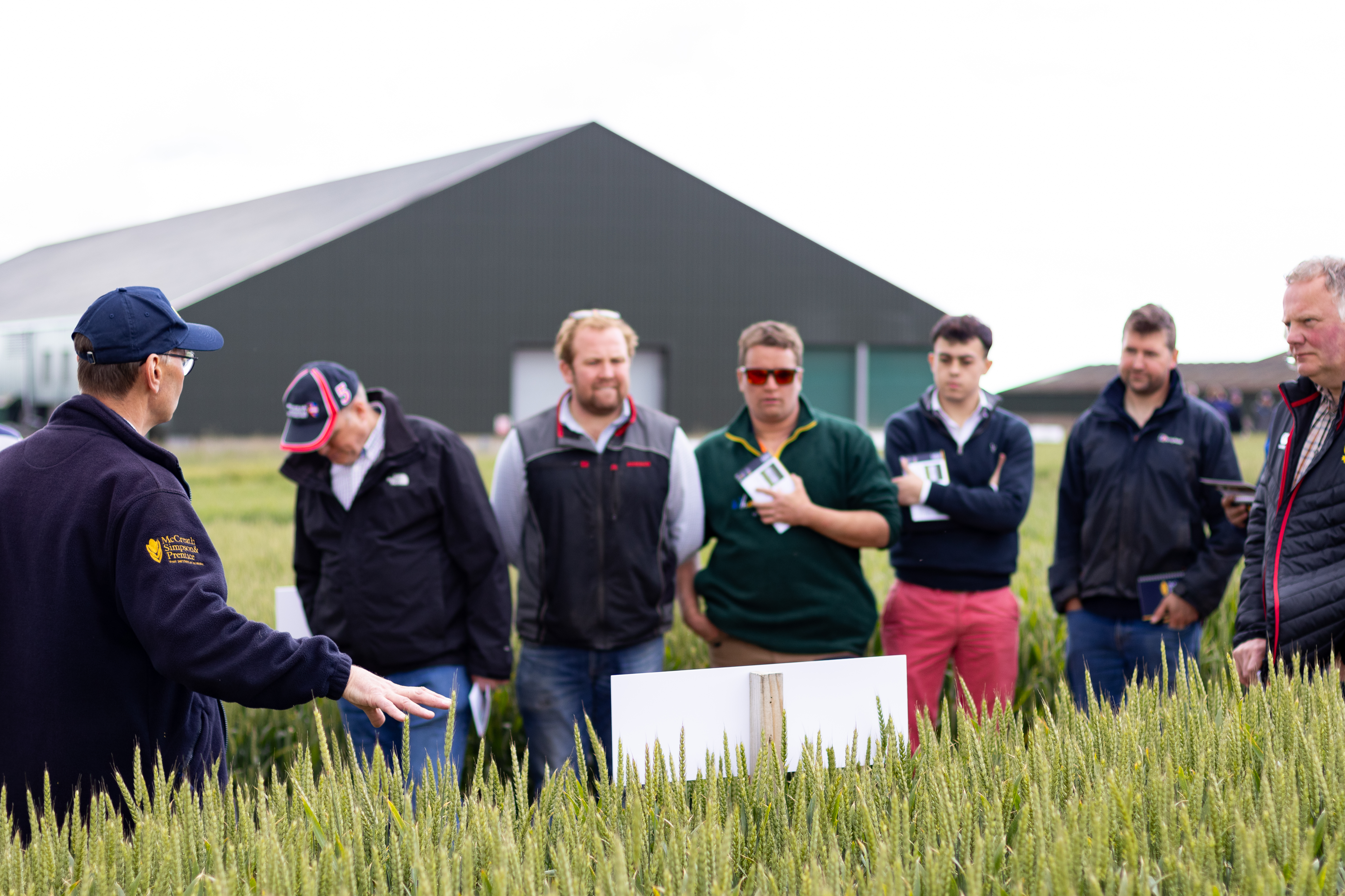 MSP to host Annual Winter Wheat Trials Open Evening 
