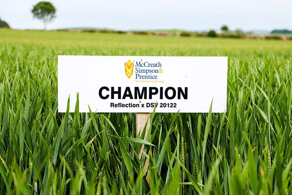 CHAMPION