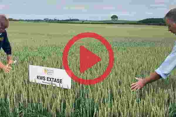 Watch our Winter Wheat Varieties Tour 2021!