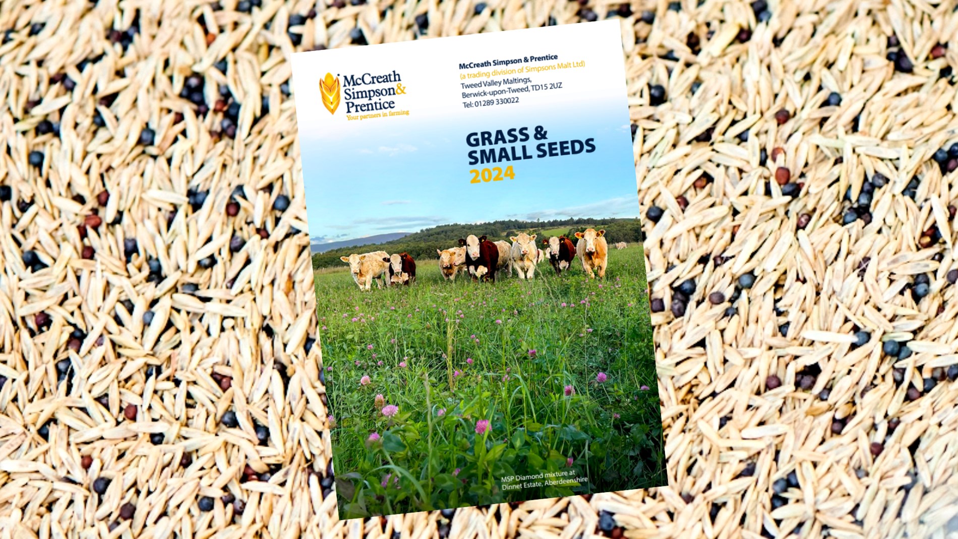 Grass Seed Brochure 2024 2