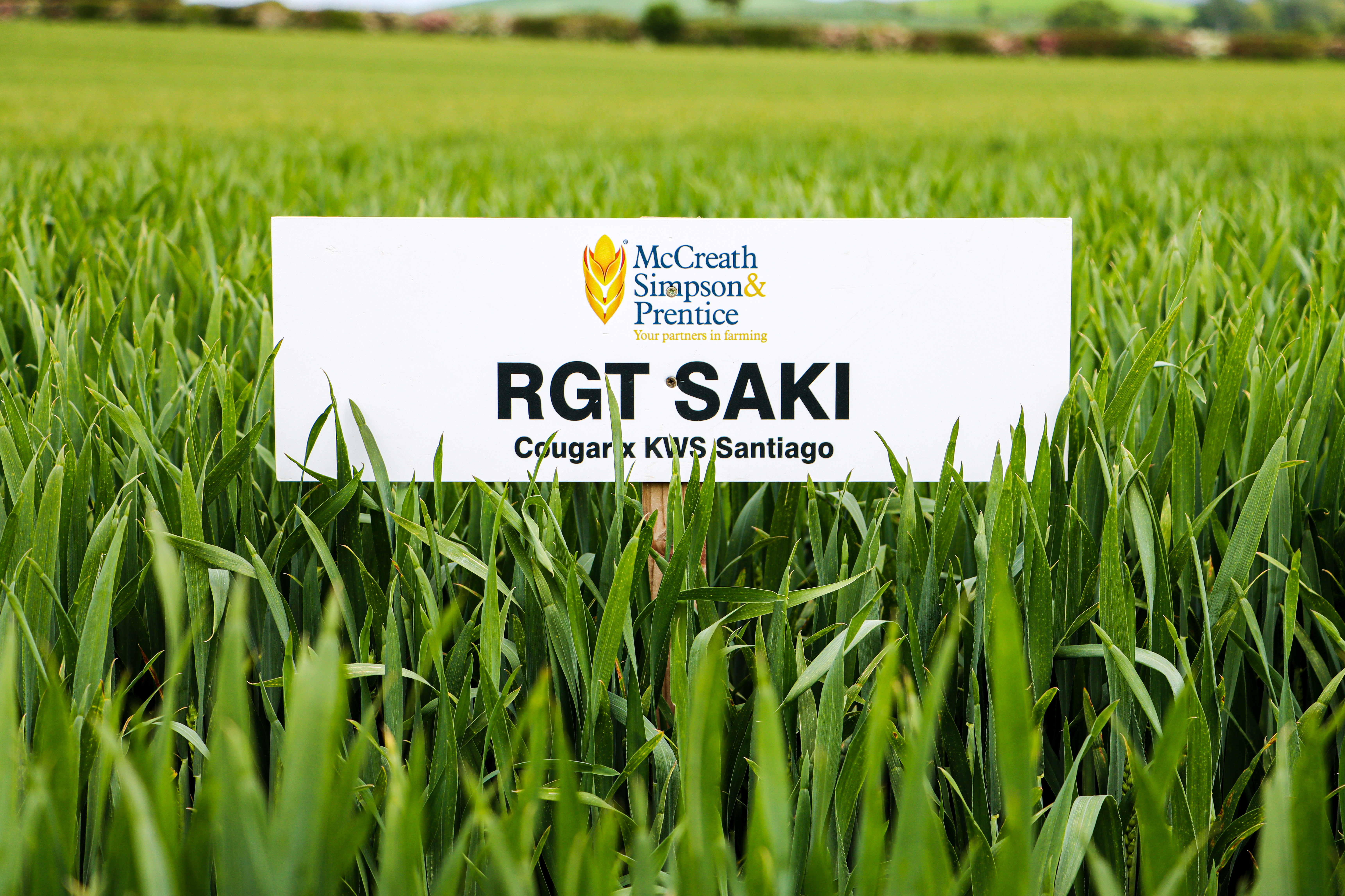 RGT SAKI
