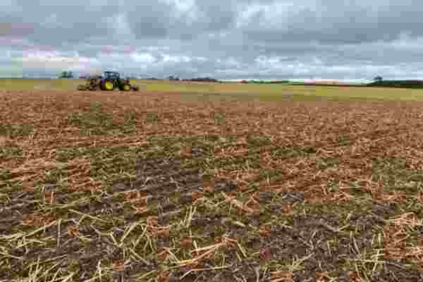 Winter crops drilled into mostly very good ground
