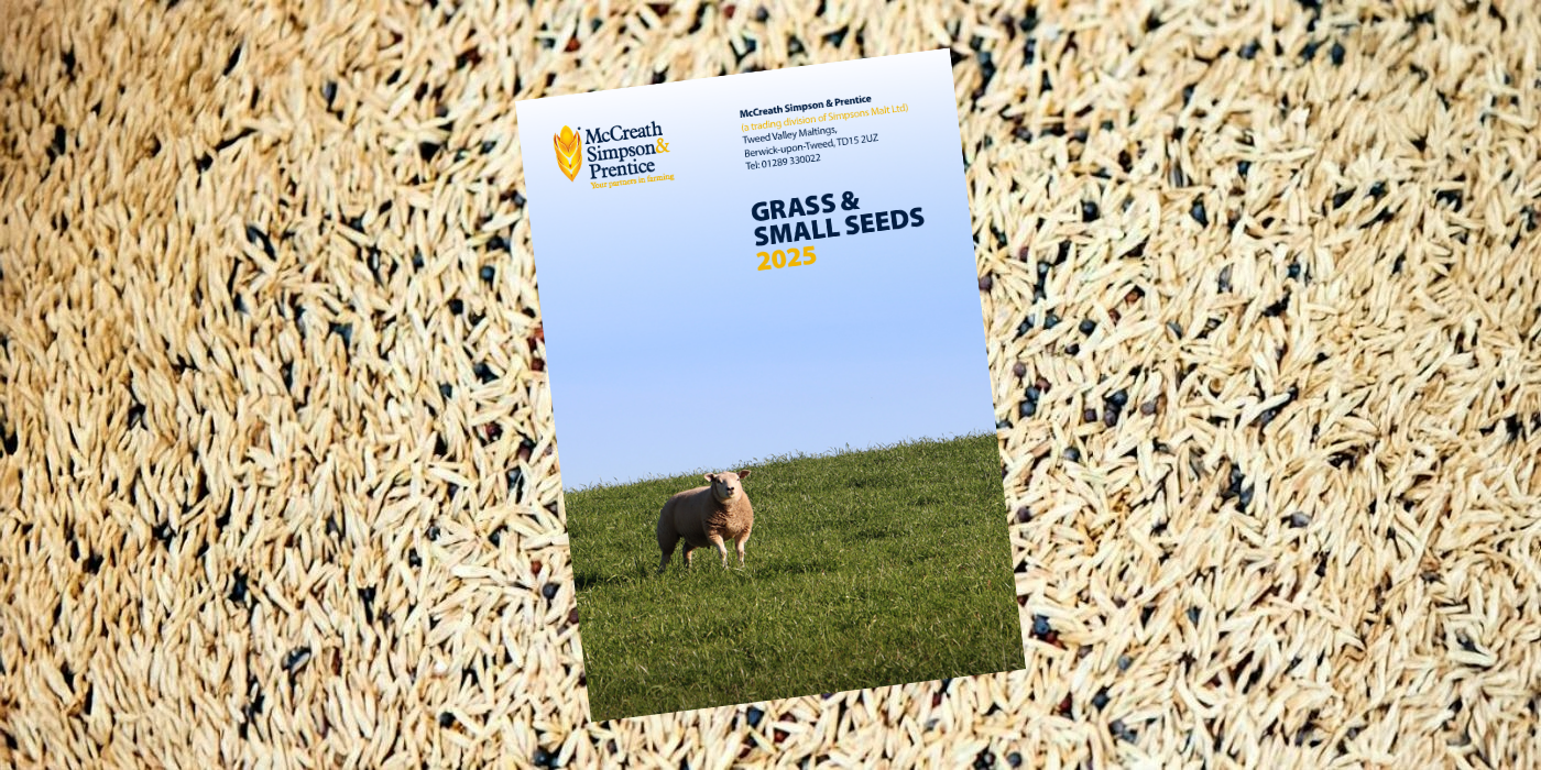 Seed Success: Explore our 2025 Grass Seeds brochure!